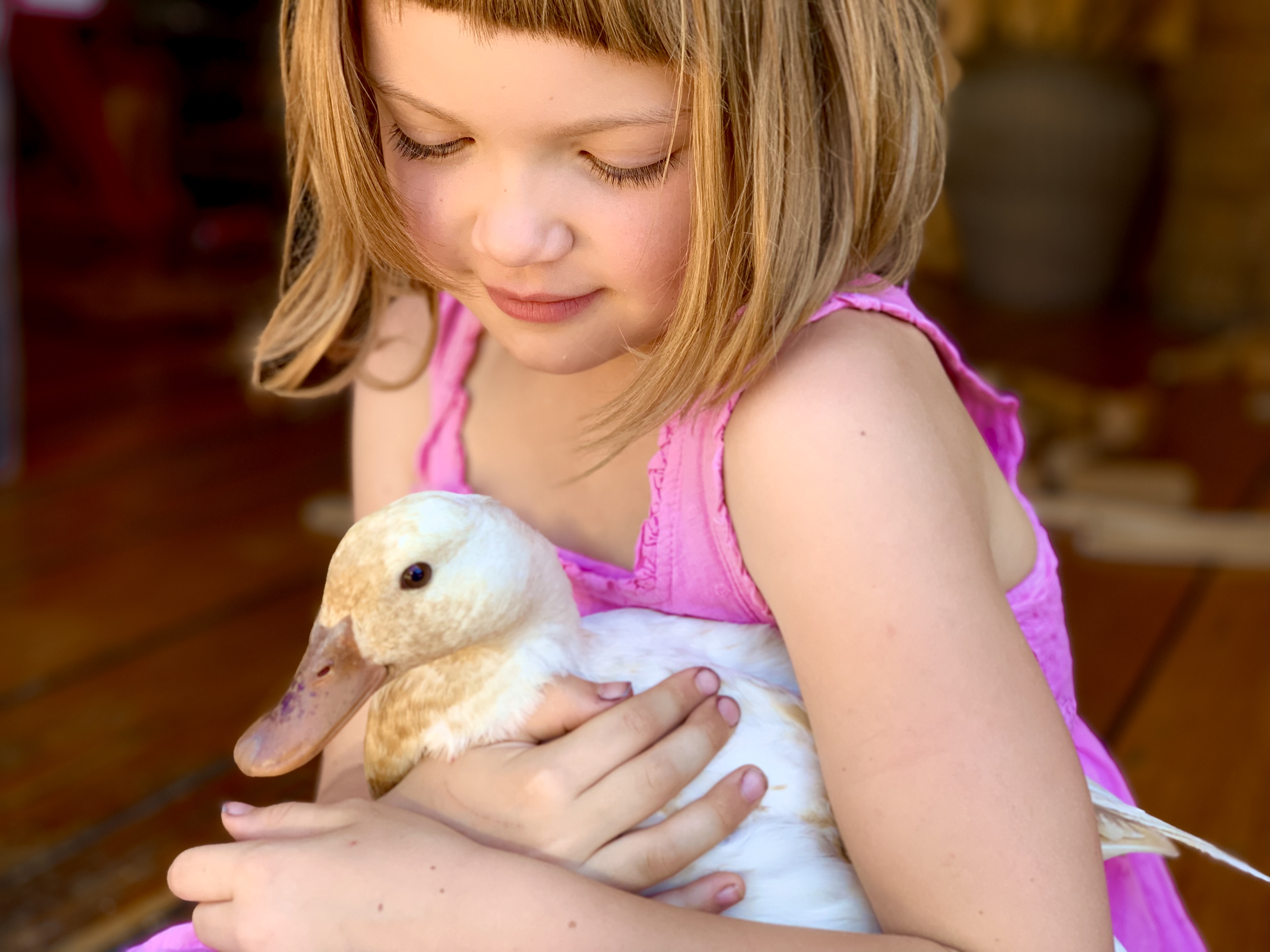 girl holding small white duck